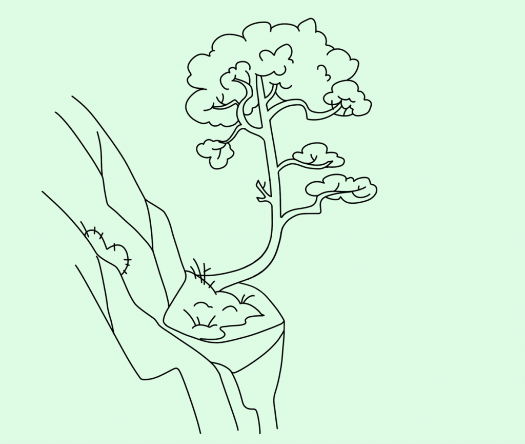 Resilienz, kleiner Baum an Felswand